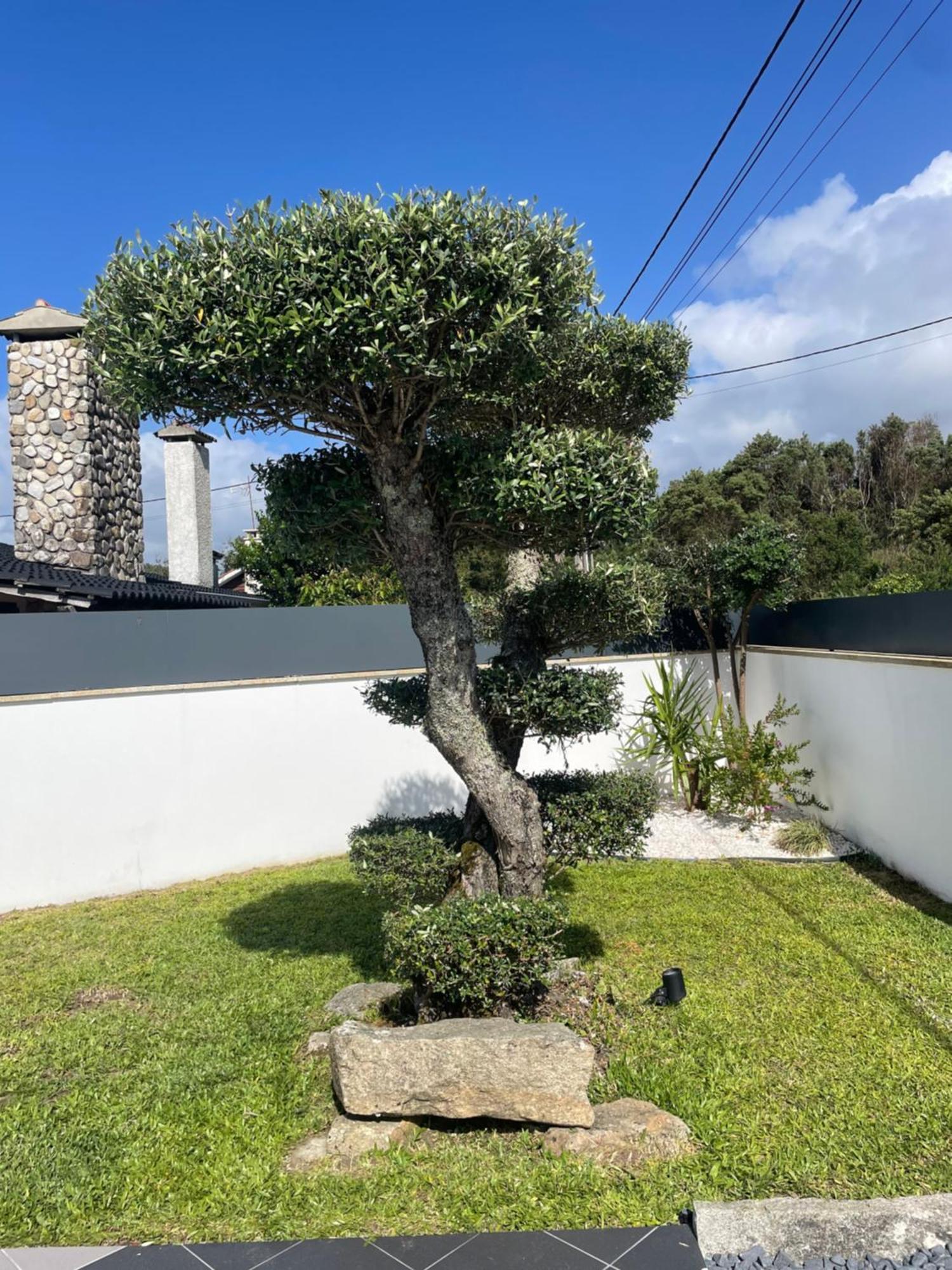 Villa - Ancora - 300 Metres De L'Ocean วีลาปรายา เด อันโกรา ภายนอก รูปภาพ